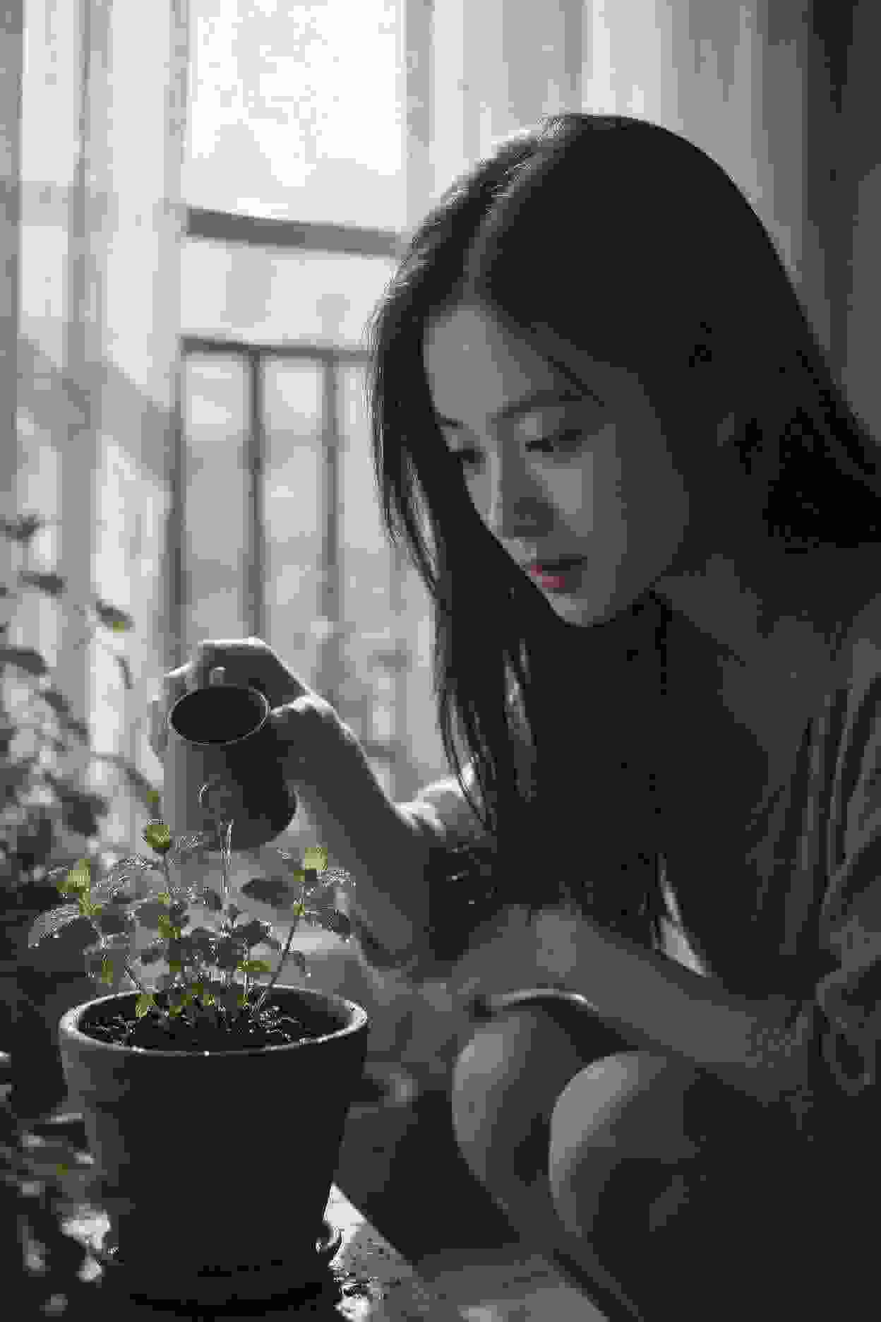 短剧作品